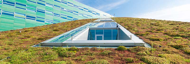 Izolacja dachu odwróconego