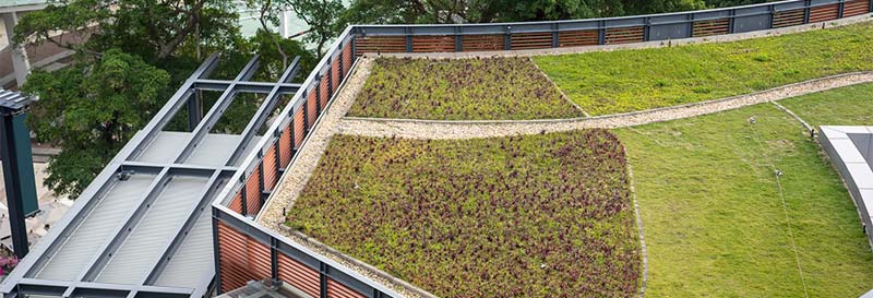 Izolacja zielonego dachu